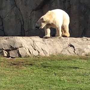 Meet your Posher, Christina